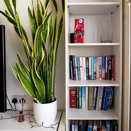 Modern 2-bed - King Bed - Free Parking Διαμέρισμα Μπρίστολ