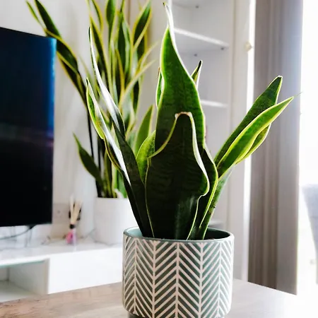 Modern 2-bed - King Bed - Free Parking *